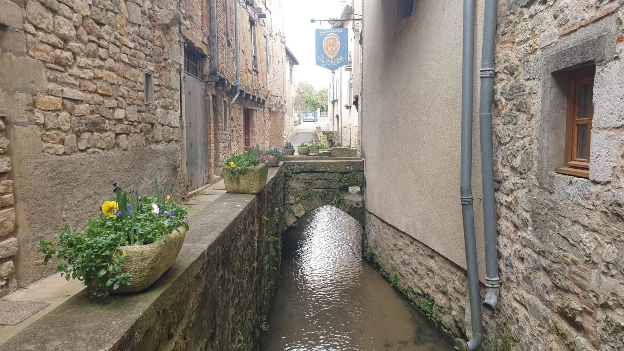 Seuls En Pleine Nature - Gite La Cote Blanche Puygaillard-de-Quercy Bagian luar foto