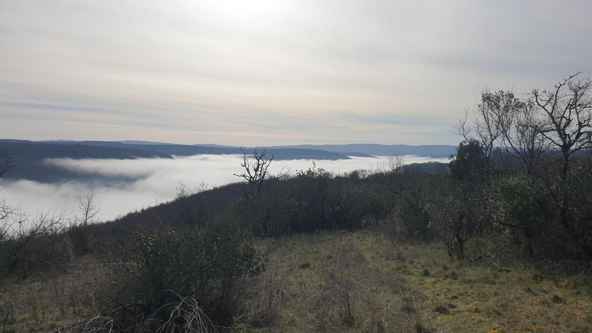 Seuls En Pleine Nature - Gite La Cote Blanche Puygaillard-de-Quercy Bagian luar foto