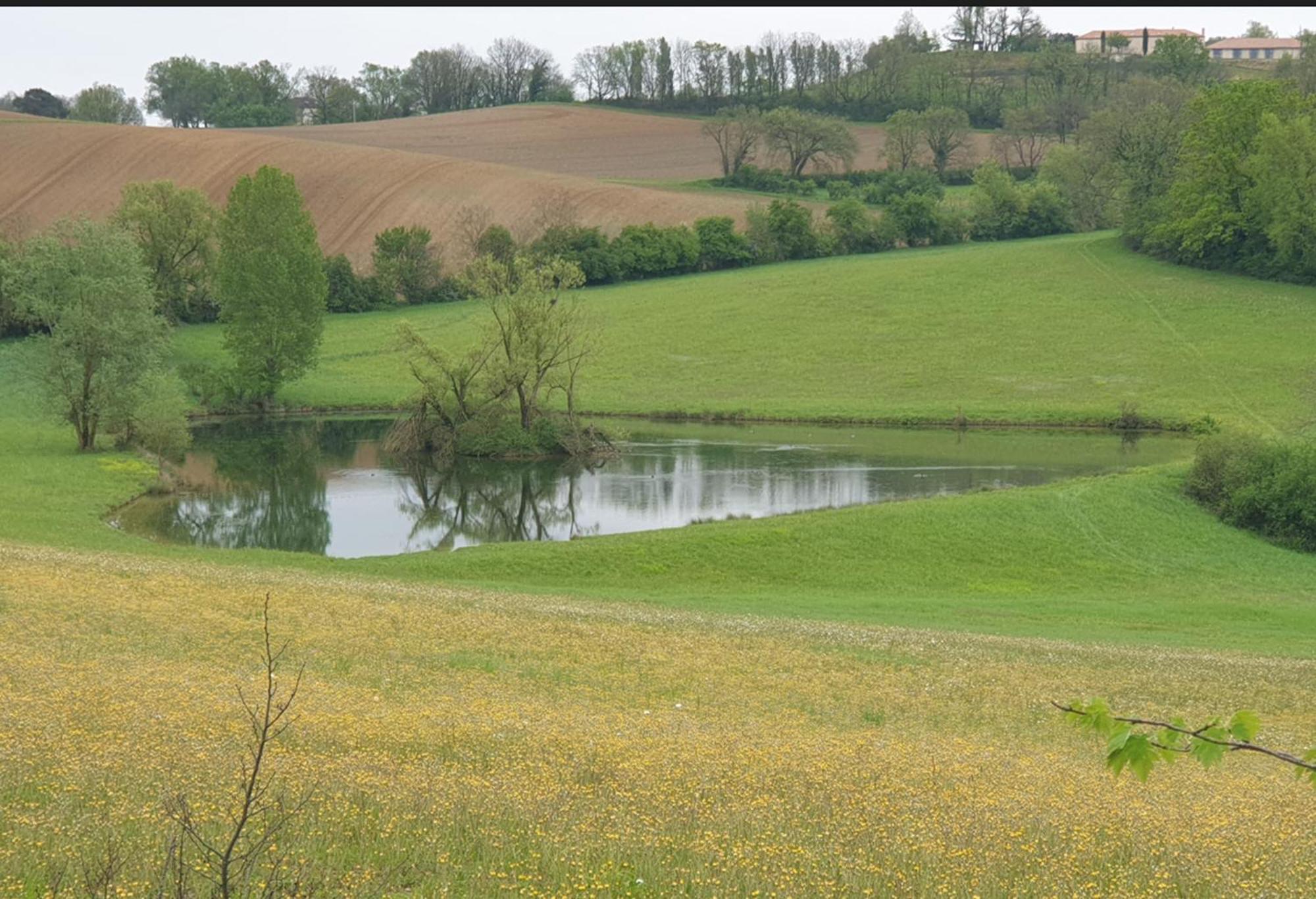 Seuls En Pleine Nature - Gite La Cote Blanche Puygaillard-de-Quercy Bagian luar foto